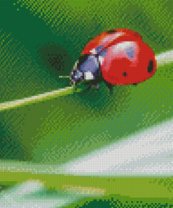 Aesthetic Ladybird Diamond Paintings