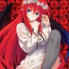 Anime Girl Rias Gremory Diamond Paintings