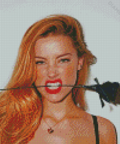 Beautiful Amber Heard Diamond Paintings