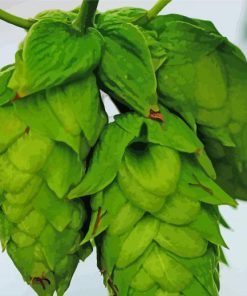 Beautiful Hop Plant Diamond Paintings