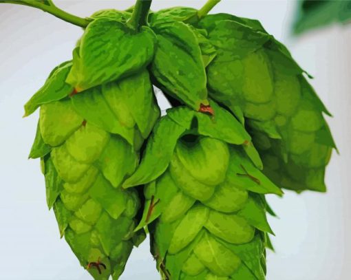 Beautiful Hop Plant Diamond Paintings