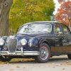 Black Jaguar Mark 1 Diamond Paintings