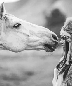 Black And White Native Horse Diamond Paintings