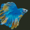 Blue Siamese Fighting Fish Diamond Paintings