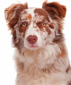 Brown Border Collie Dog Diamond Paintings