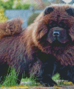 Brown Chow Chow Diamond Paintings