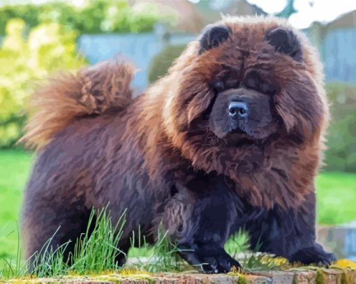 Brown Chow Chow Diamond Paintings