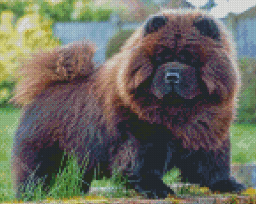 Brown Chow Chow Diamond Paintings