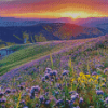 California Desert Sunset Landscape Diamond Paintings