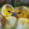 Canada Geese Goslings Diamond Paintings