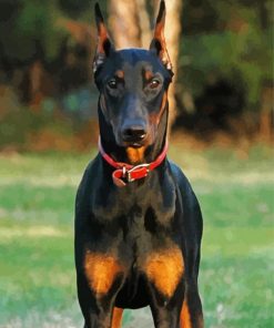 Cool Dobermann Diamond Paintings