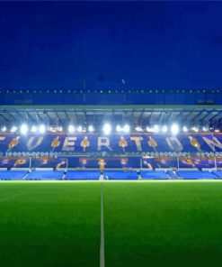 Goodison Park At Night Diamond Paintings