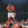 Mohammed Ali Diamond Paintings