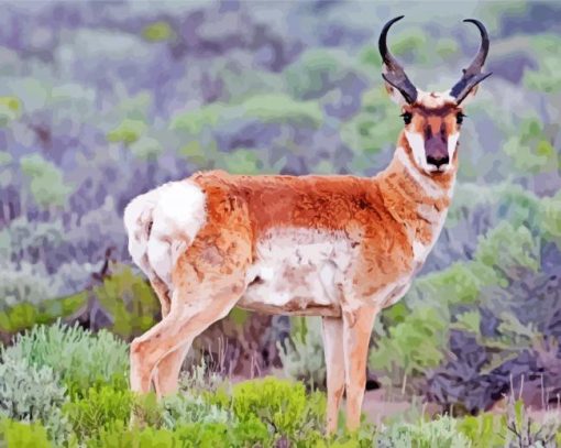 Pronghorn Diamond Paintings