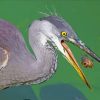 The Grey Heron With Fish Diamond Paintings