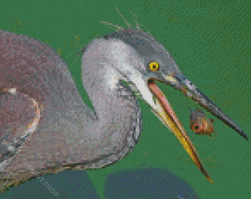 The Grey Heron With Fish Diamond Paintings