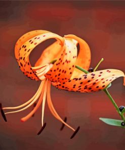 Tiger Lilies Diamond Paintings