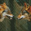 Wolves Face To Face Diamond Paintings