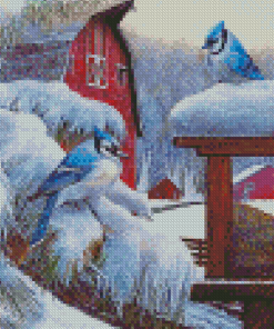 Blue Jay Birds In Winter Diamond Paintings