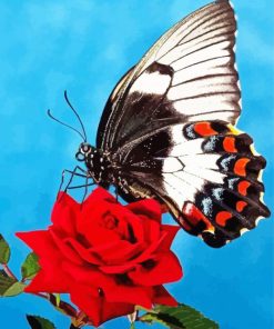 Butterfly On Red Rose Diamond Paintings