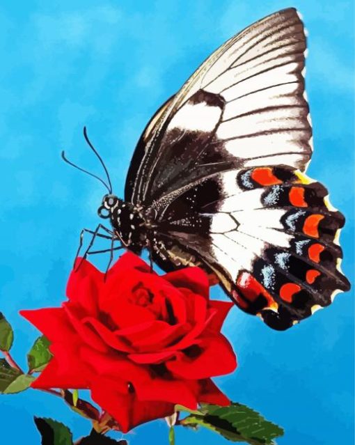 Butterfly On Red Rose Diamond Paintings