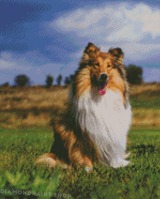 Cute Rough Collie Diamond Paintings