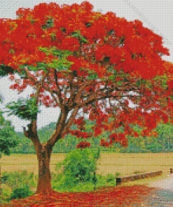 Flamboyant Tree Diamond Paintings