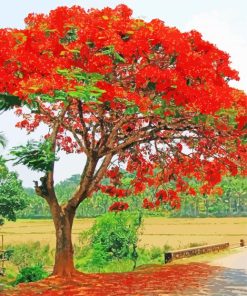 Flamboyant Tree Diamond Paintings