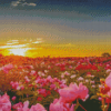 Flower Garden At Sunset Diamond Paintings