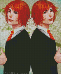 Fred And George Weasley Twins Characters Art Diamond Paintings