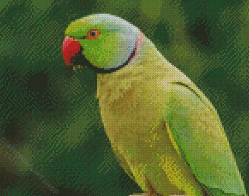 Green Rose Ringed Parakeet Diamond Paintings