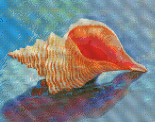 Horse Conch Shell Diamond Paintings