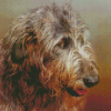 Irish Wolfhound Head Diamond Paintings