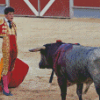 Matador And Bull Fight Diamond Paintings