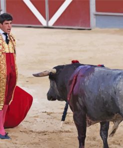 Matador And Bull Fight Diamond Paintings