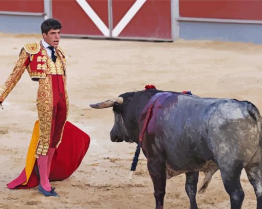 Matador And Bull Fight Diamond Paintings