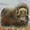 Musk Ox Art Diamond Paintings