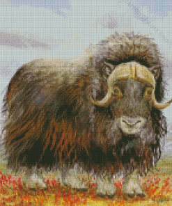 Musk Ox Art Diamond Paintings