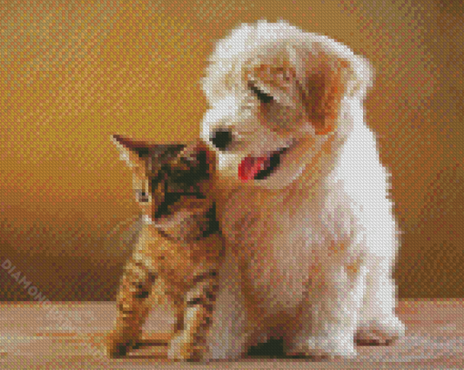 Puppy And Kitten Diamond Paintings