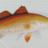 Redfish Drum Diamond Paintings