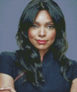 The Actress Tamara Taylor Diamond Paintings