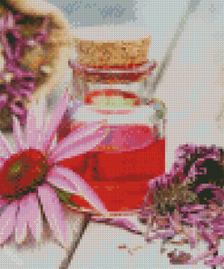 Aesthetic Echinacea Diamond Paintings