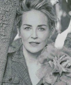 Black And White Sharon Stone Diamond Paintings