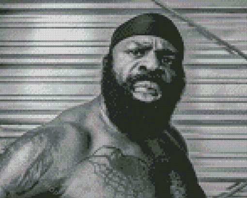 Black And White Boxer Kimbo Slice Diamond Paintings