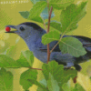 Catbird Eating Diamond Paintings