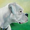 Cool White Boxer Diamond Paintings