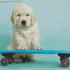 Cute Dog Skateboard Diamond Paintings