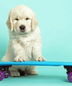 Cute Dog Skateboard Diamond Paintings