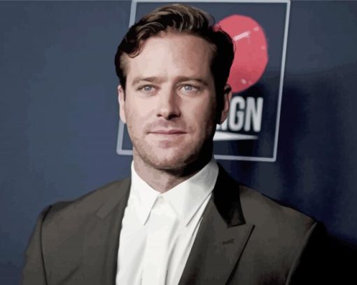 The American Actor Armie Hammer Diamond Paintings