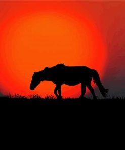 Wild Sunset Horse Diamond Paintings